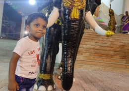 Sri Bhavani Palace (49)