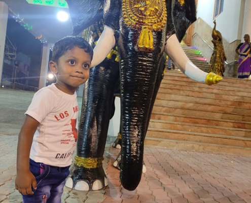 Sri Bhavani Palace (49)
