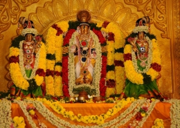 Sri Bhavani Palace (66)