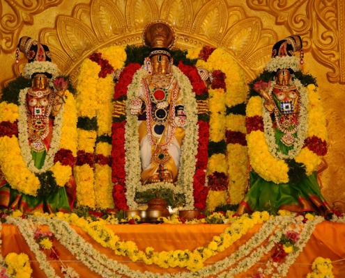 Sri Bhavani Palace (66)