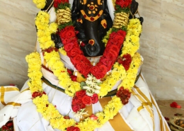Sri Bhavani Palace (67)