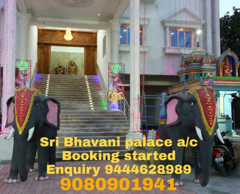 Sri Bhavani Palace (69)